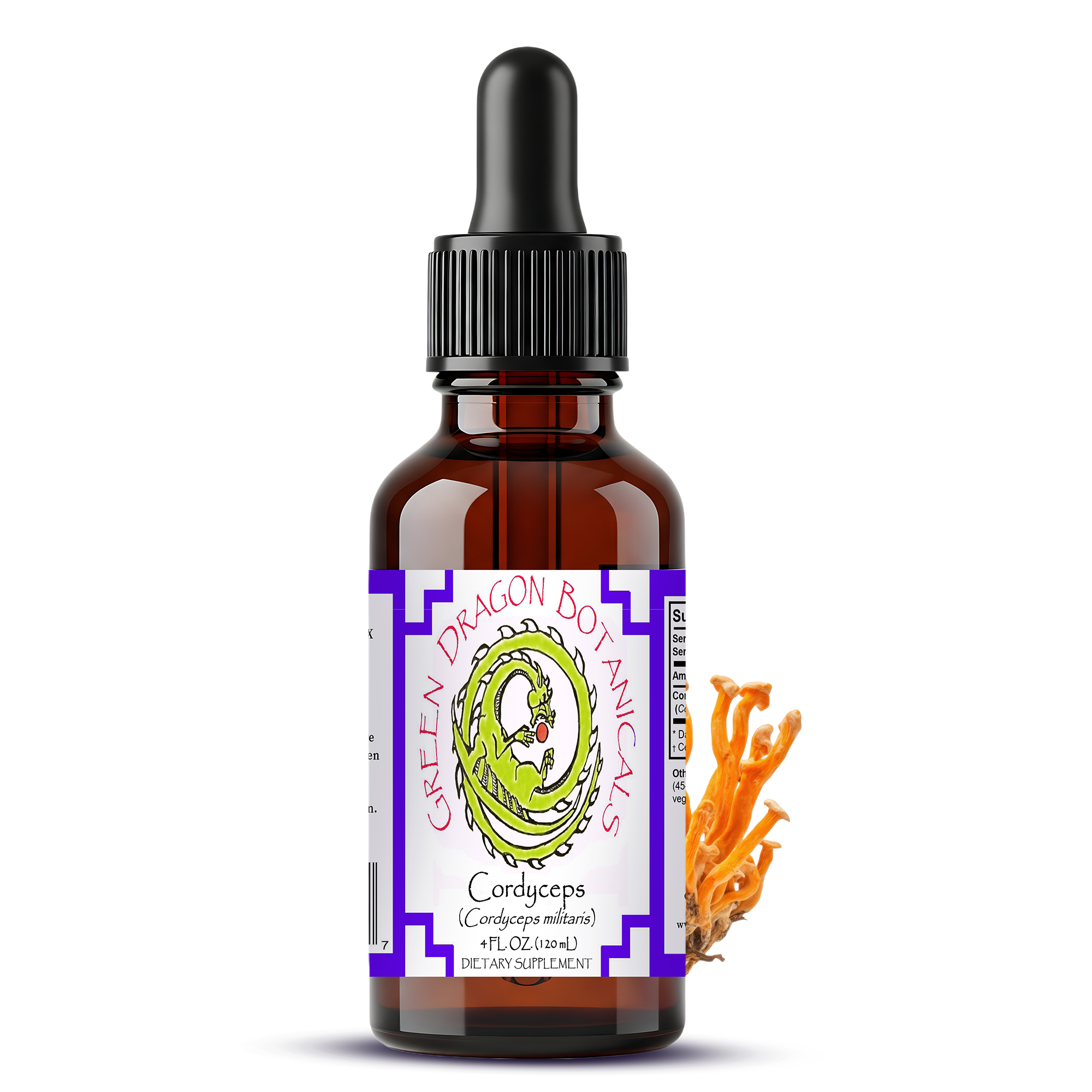 Cordyceps Militaris Tincture | Mushroom Liquid Extract