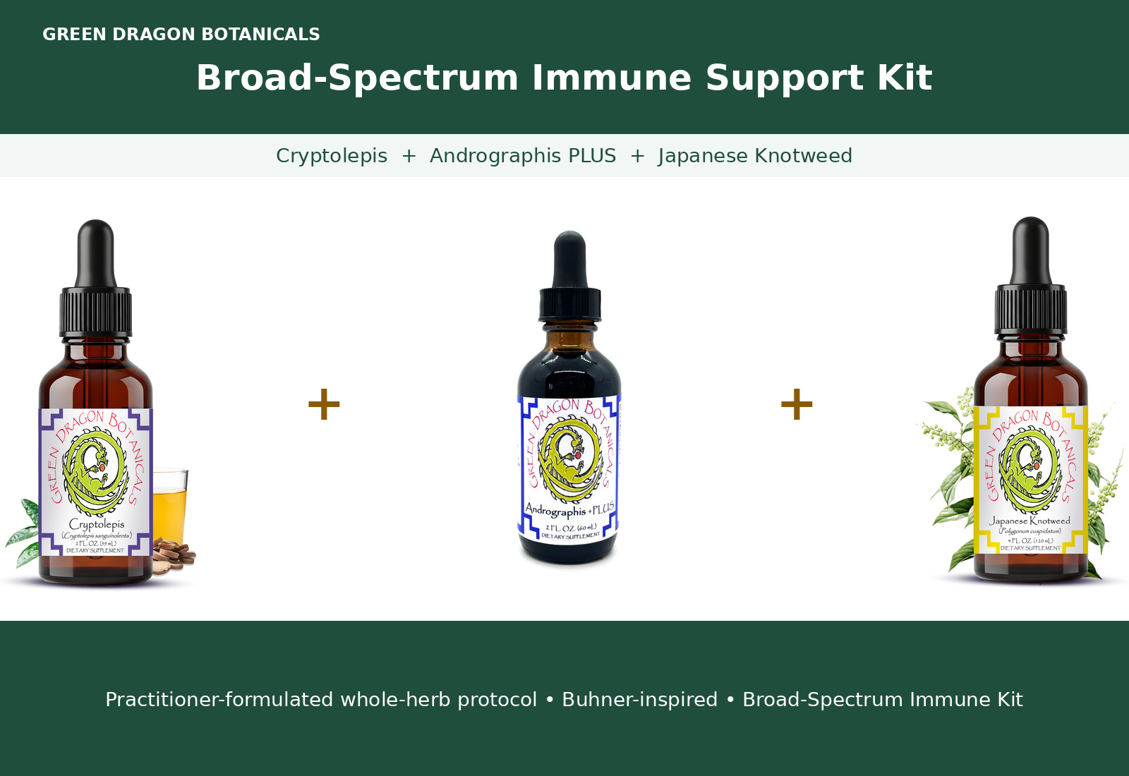 Broad-Spectrum Immune Support Kit (Cryptolepis + Andrographis PLUS + Japanese Knotweed)