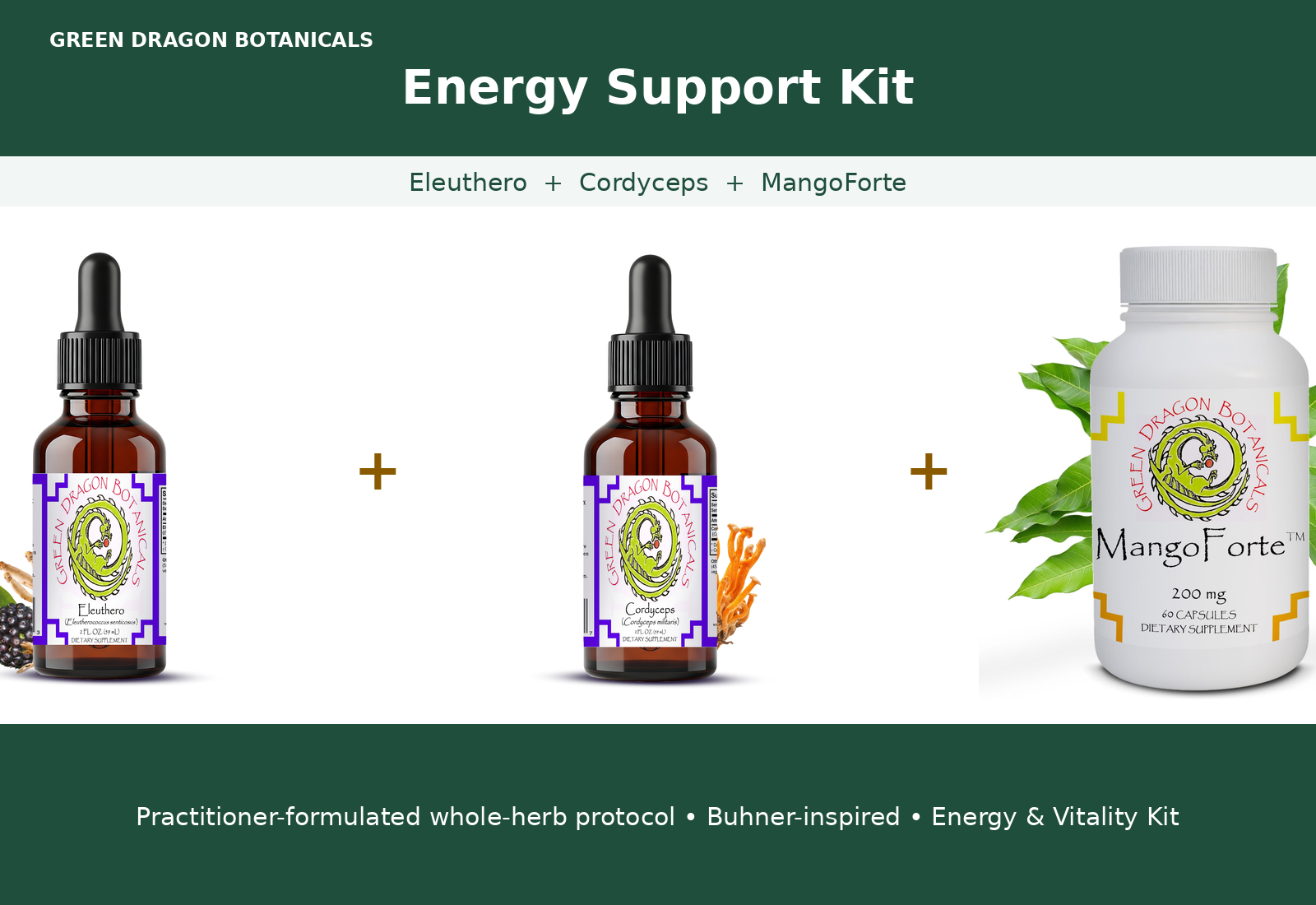 Energy Support Kit (Eleuthero + Cordyceps + MangoForte)