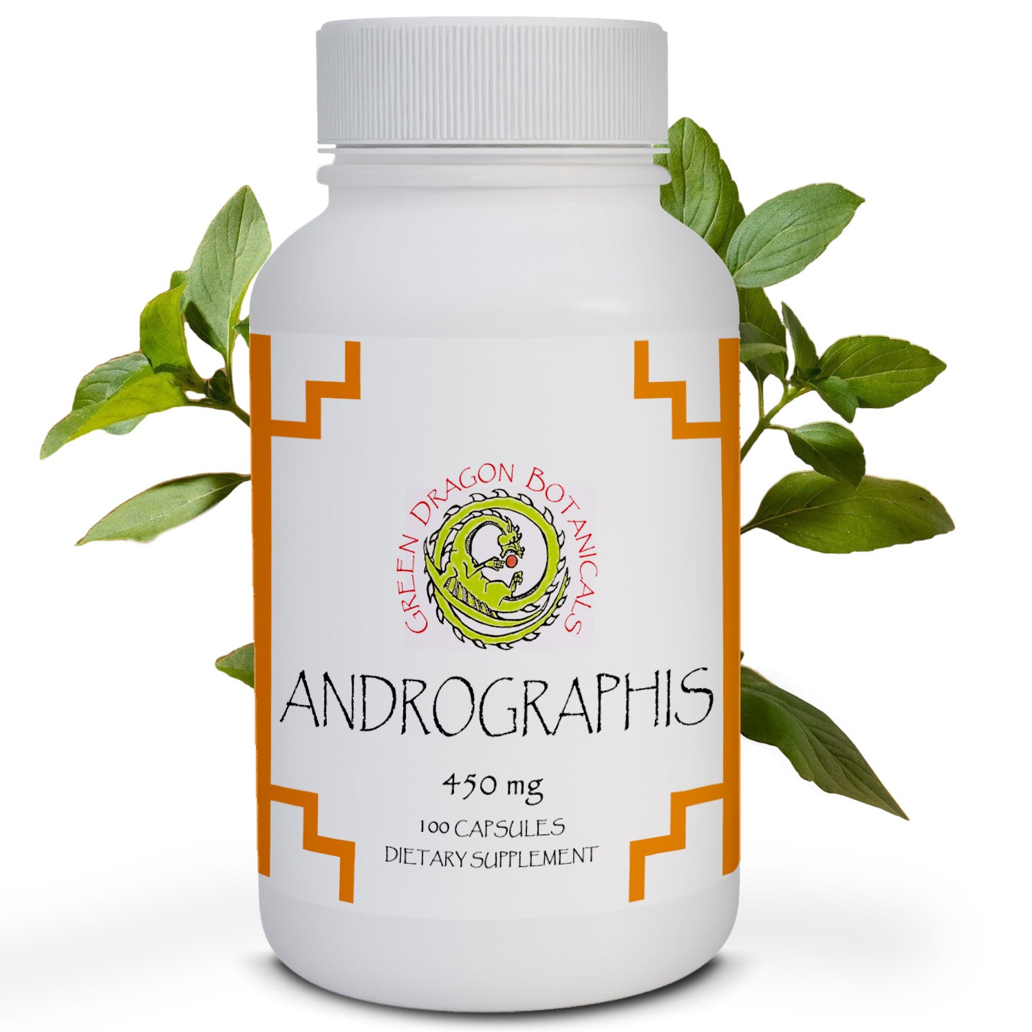 Andrographis Herbs | 100 Capsules 450mg | Organic Immune Support Supplement