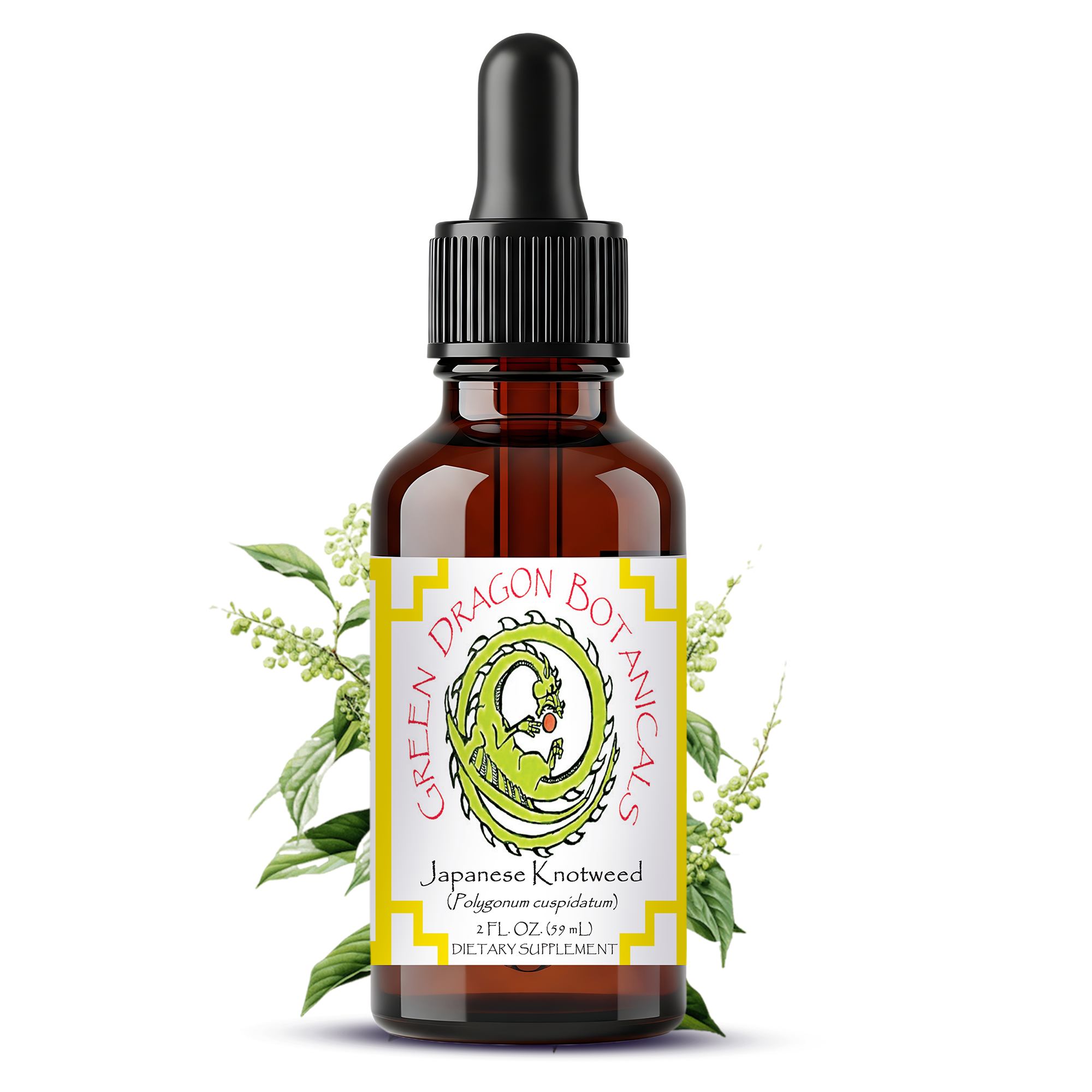 Japanese Knotweed Root Liquid Extract Tincture