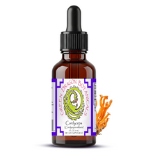 Load image into Gallery viewer, Cordyceps Militaris Tincture | Mushroom Liquid Extract