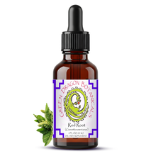 Load image into Gallery viewer, Red Root Liquid Extract Tincture - Ceanothus Americanus 1:5 Herbal Drops