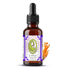 Load image into Gallery viewer, Cordyceps Militaris Tincture | Mushroom Liquid Extract