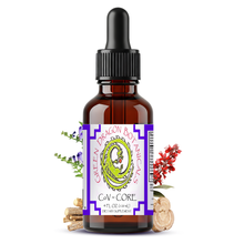 Load image into Gallery viewer, CoV CORE Protocol Liquid Extract Tincture
