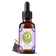 Load image into Gallery viewer, Eleuthero Root Extract Tincture | Siberian Ginseng Adaptogen Drops