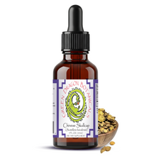 Load image into Gallery viewer, Chinese Skullcap Root - Scutellaria Baicalensis Root 1:5 Herbal Drops