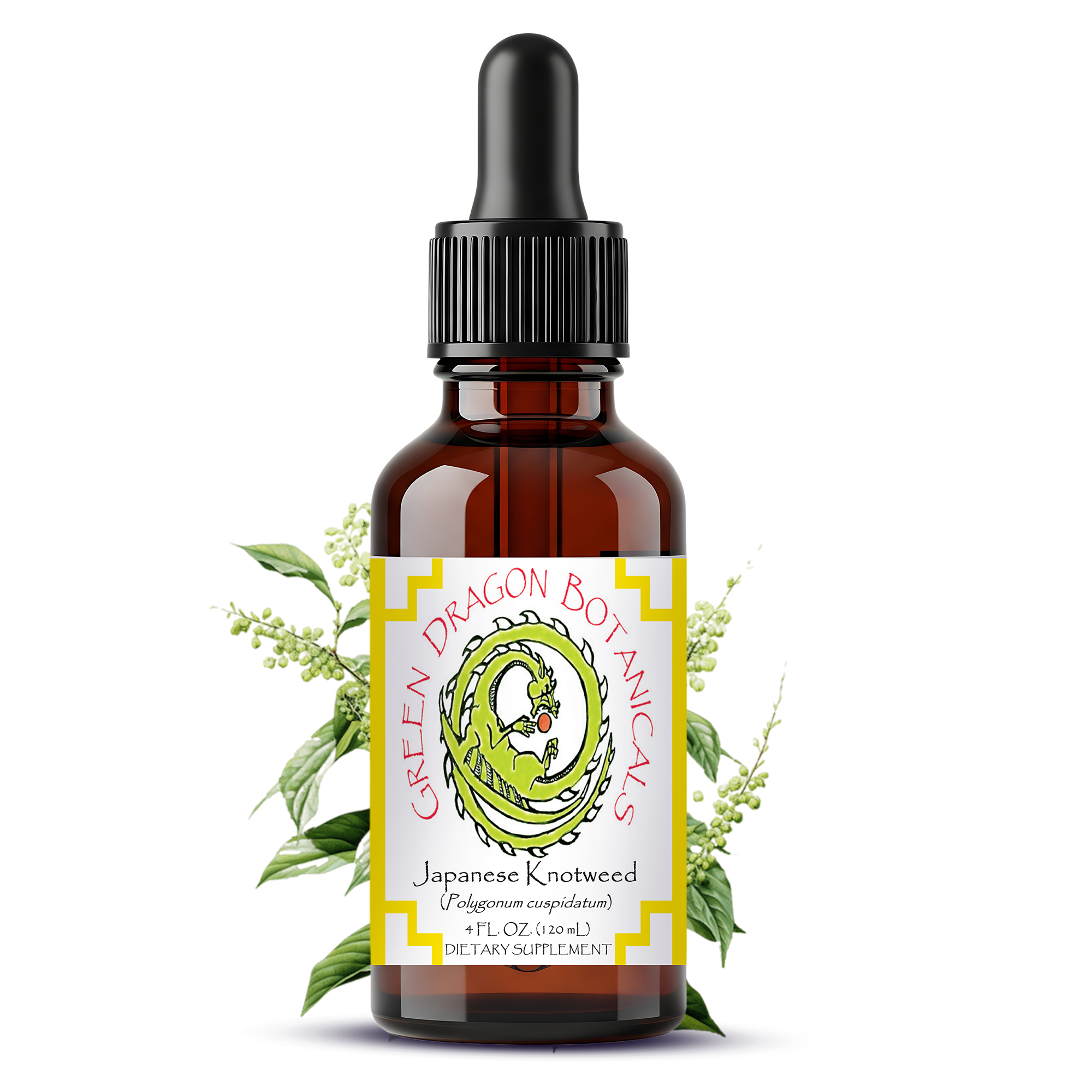 Japanese Knotweed Root Liquid Extract Tincture