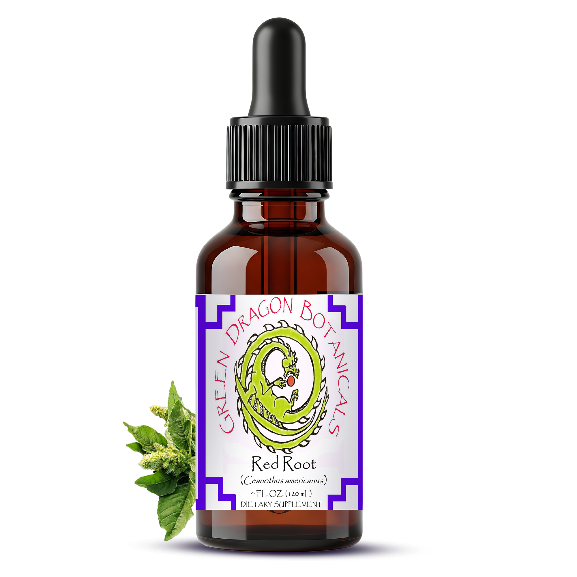Red Root Liquid Extract Tincture - Ceanothus Americanus 1:5 Herbal Drops