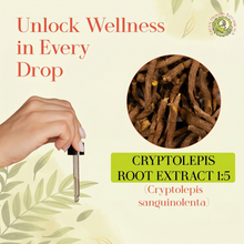 Load image into Gallery viewer, Cryptolepis Root Extract Tincture | Cryptolepis Sanguinolenta
