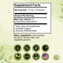 Load image into Gallery viewer, Red Root Liquid Extract Tincture - Ceanothus Americanus 1:5 Herbal Drops