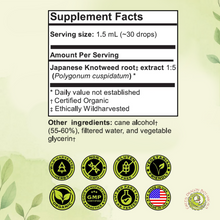 Load image into Gallery viewer, Japanese Knotweed Root Liquid Extract Tincture