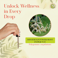 Load image into Gallery viewer, Japanese Knotweed Root Liquid Extract Tincture