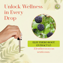 Load image into Gallery viewer, Eleuthero Root Extract Tincture | Siberian Ginseng Adaptogen Drops