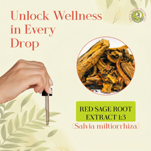 Load image into Gallery viewer, Red Sage Root Extract Tincture - Danshen Salvia Miltiorrhiza