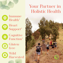 Load image into Gallery viewer, Japanese Knotweed Root  | 100 Capsules 500mg | Natural Resveratrol Supplement