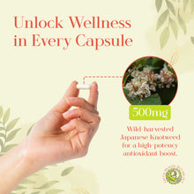 Load image into Gallery viewer, Japanese Knotweed Root  | 100 Capsules 500mg | Natural Resveratrol Supplement