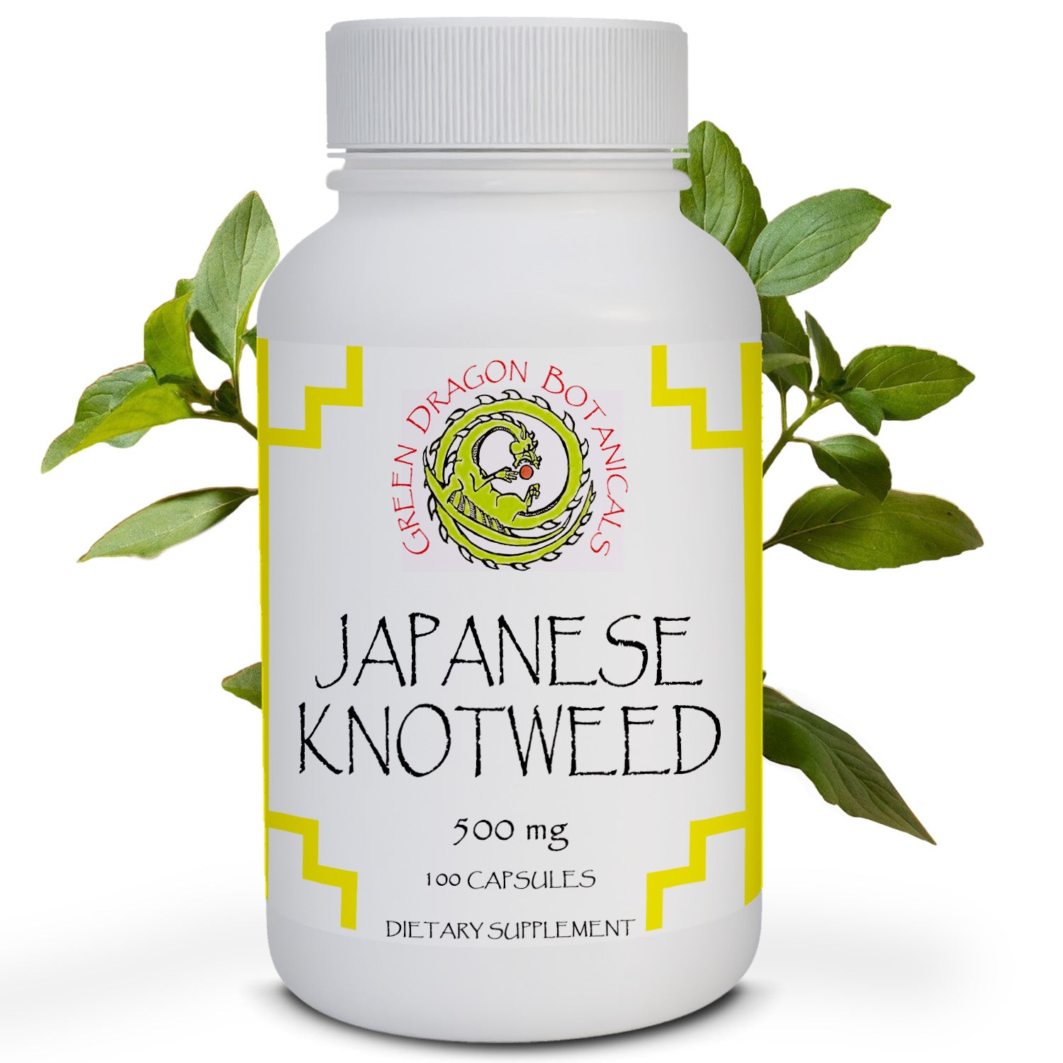 Japanese Knotweed Root  | 100 Capsules 500mg | Natural Resveratrol Supplement