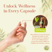 Load image into Gallery viewer, Cat’s Claw | 100 Capsules 500mg | Wild-Harvested Uncaria Tomentosa Vine Bark