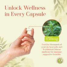 Load image into Gallery viewer, Andrographis Herbs | 100 Capsules 450mg | Organic Immune Support Supplement