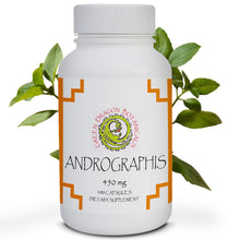 Load image into Gallery viewer, Andrographis Herbs | 100 Capsules 450mg | Organic Immune Support Supplement