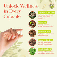 Load image into Gallery viewer, LB TONIC Protocol | 336 Capsules 550mg - Eleuthero, Japanese Knotweed &amp; Cat’s Claw Herbal Blend