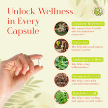 Load image into Gallery viewer, LB CORE Protocol | 336 Capsules 550mg - Japanese Knotweed, Cat’s Claw &amp; Andrographis Herbal Blend