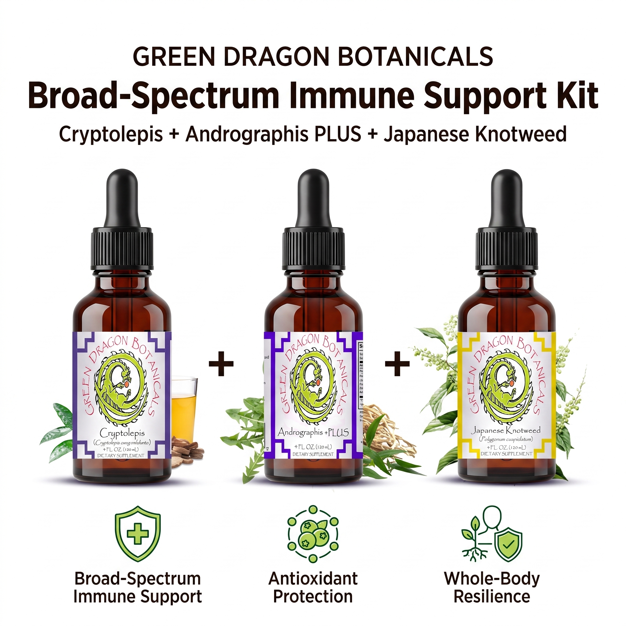 Broad-Spectrum Immune Support Kit                                        (Cryptolepis + Andrographis PLUS + Japanese Knotweed)
